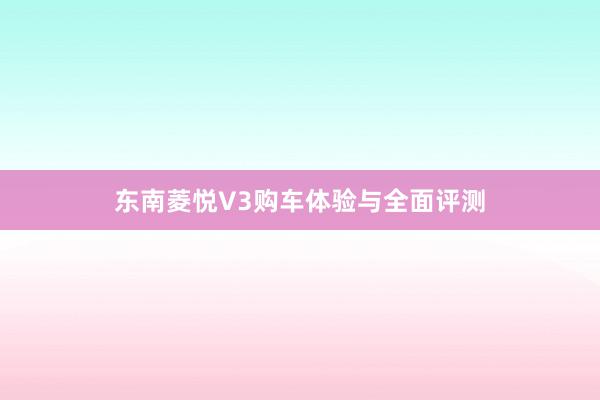 东南菱悦V3购车体验与全面评测